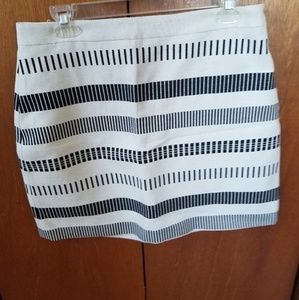 Zara Skirt